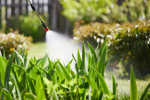 24/7 Emergency Mosquito Control experts in Edgecliff Village, TX
